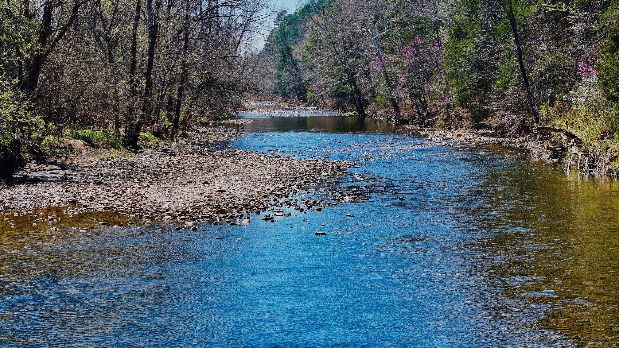 1141 Wafted Lane Tract 1 Marshall, AR 72650