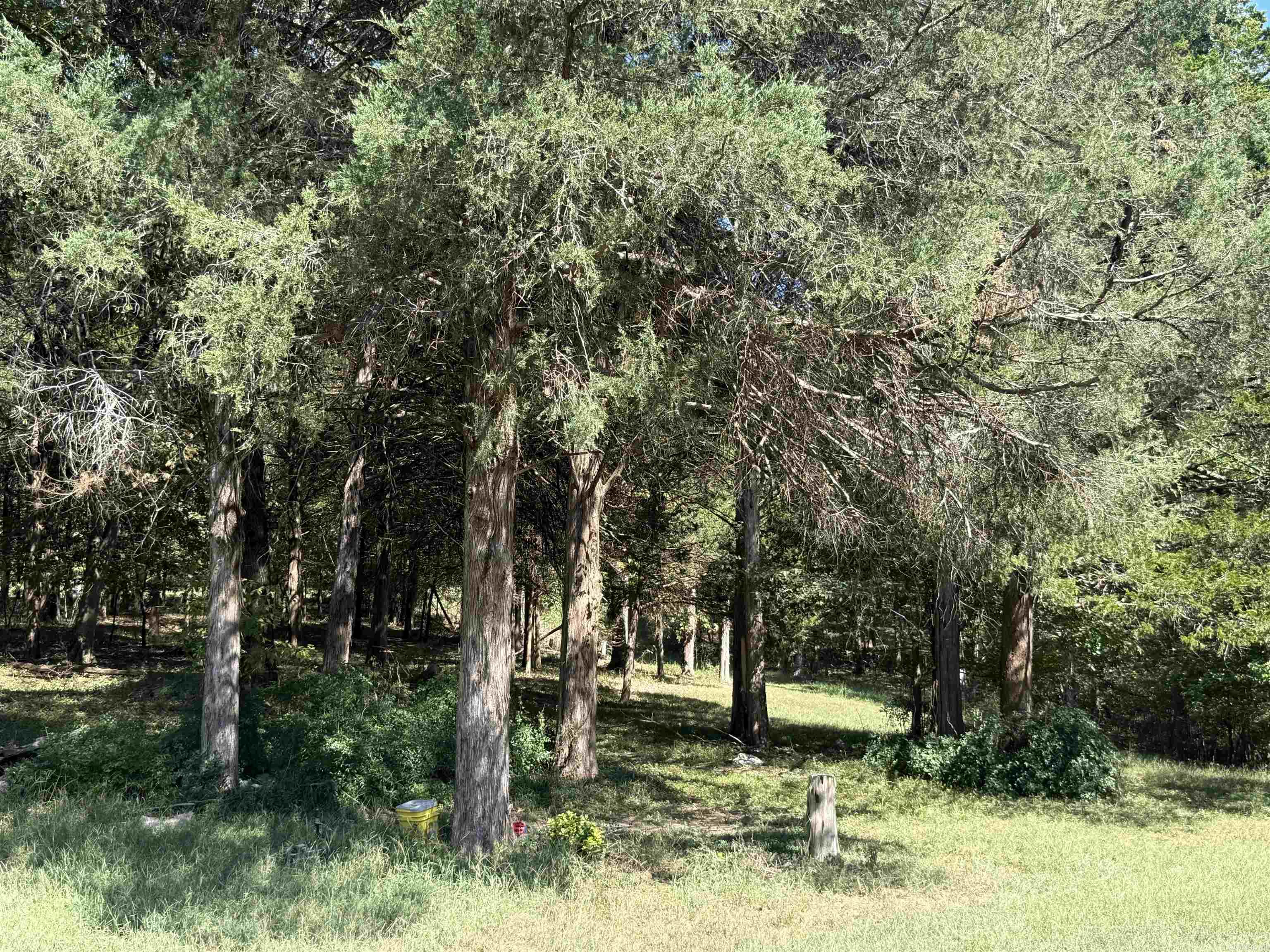 4900 Finch Paragould, AR 72450