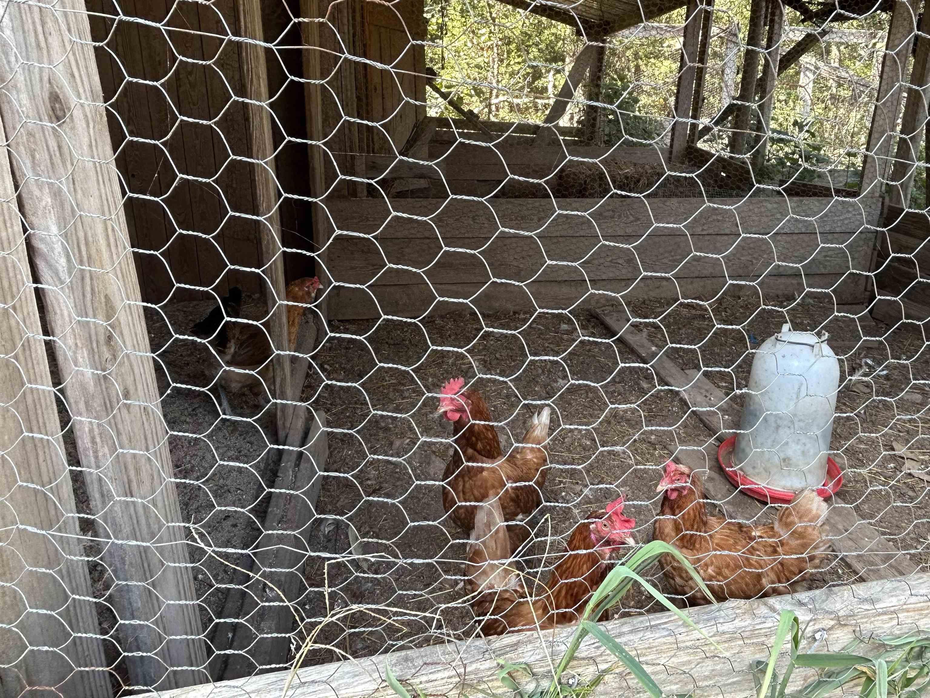 4150 County Road 7480 West Plains, MO, MO 65775