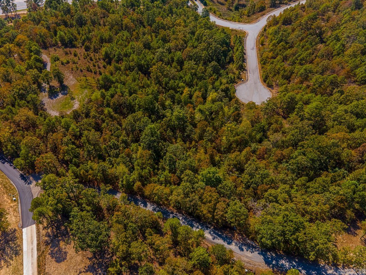 16100 & 16104 Vista Del Rio  Maumelle, AR