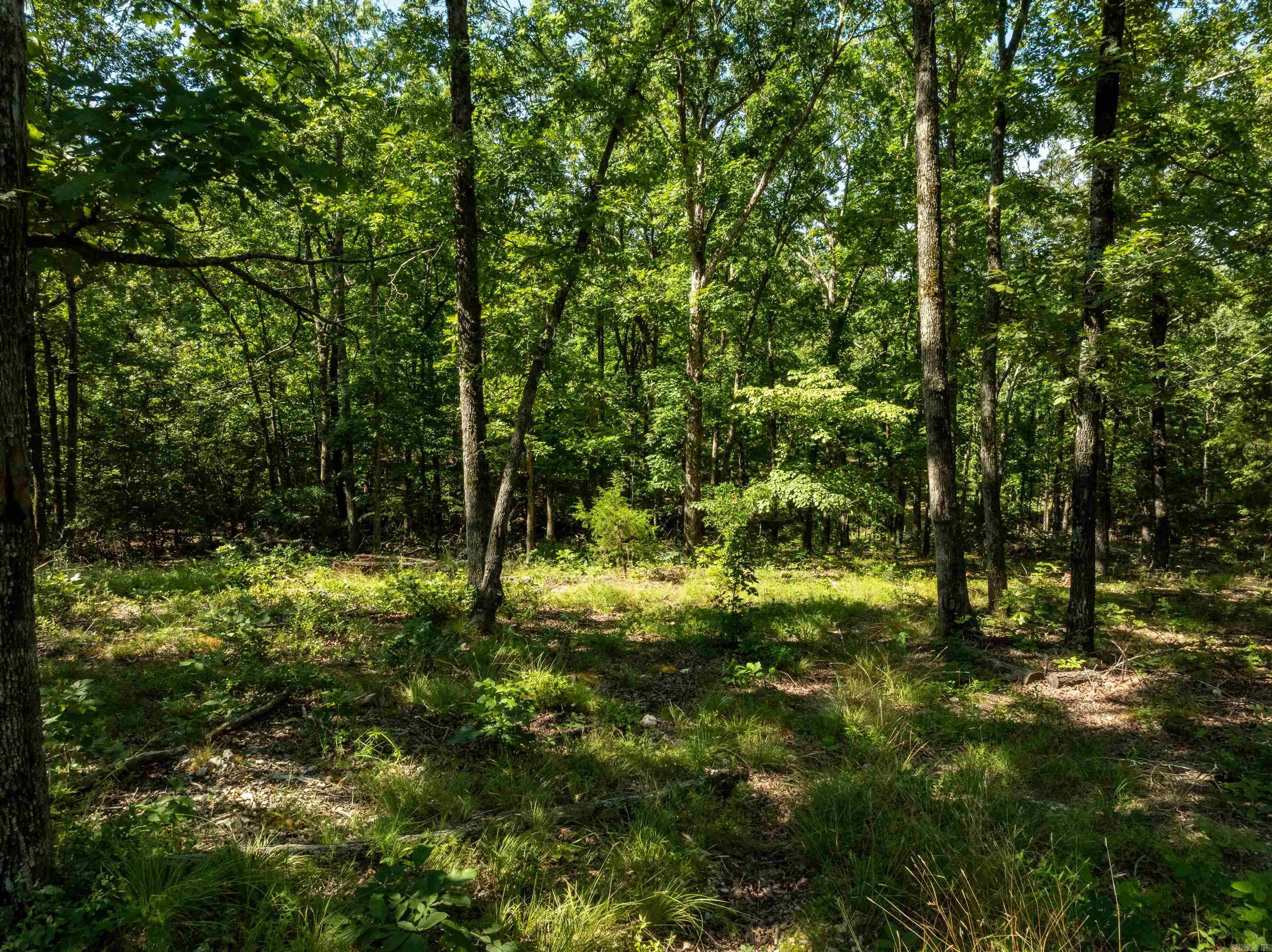 306 N Rainey Lane Cave City, AR 72521