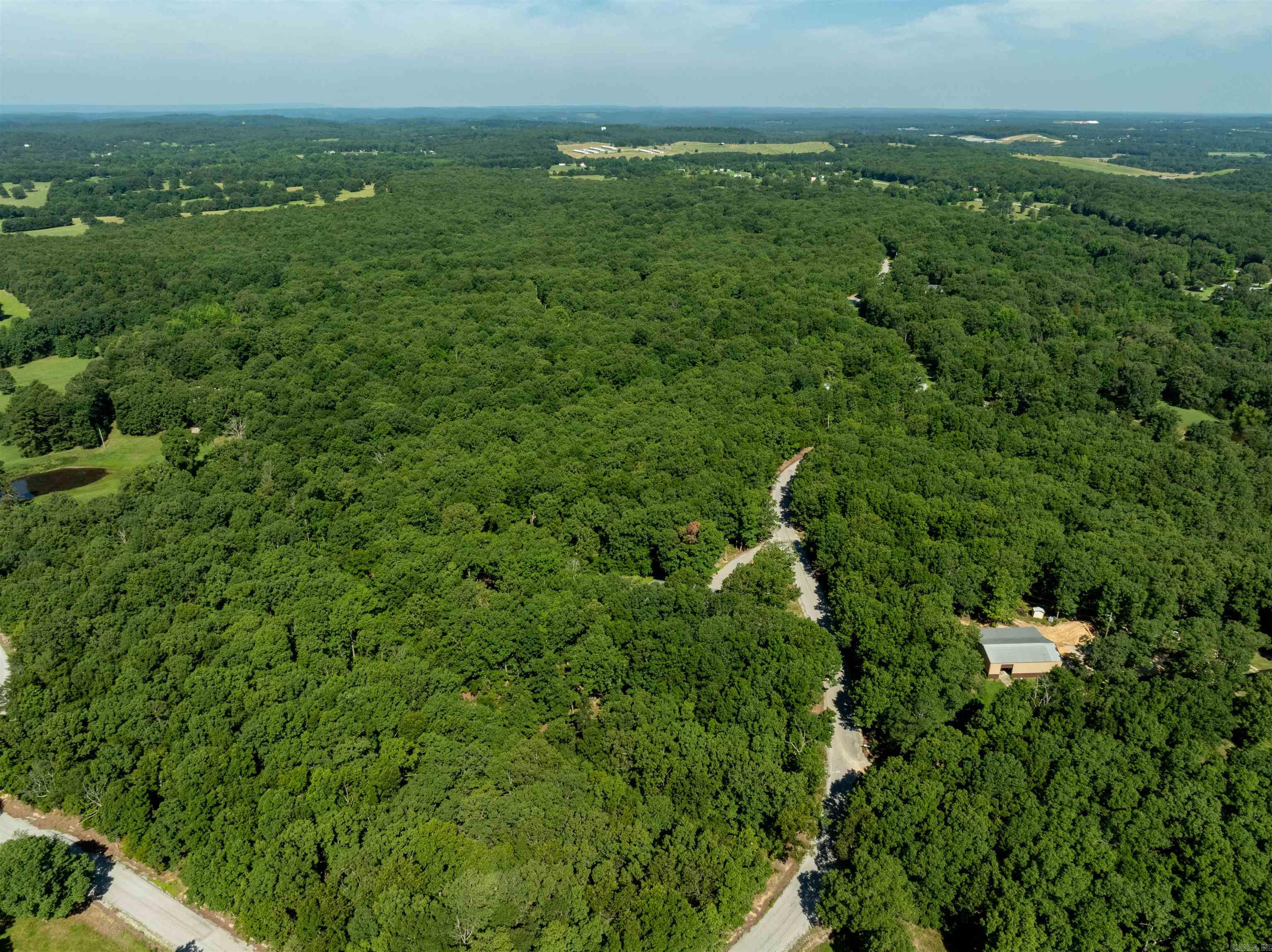 306 N Rainey Lane Cave City, AR 72521