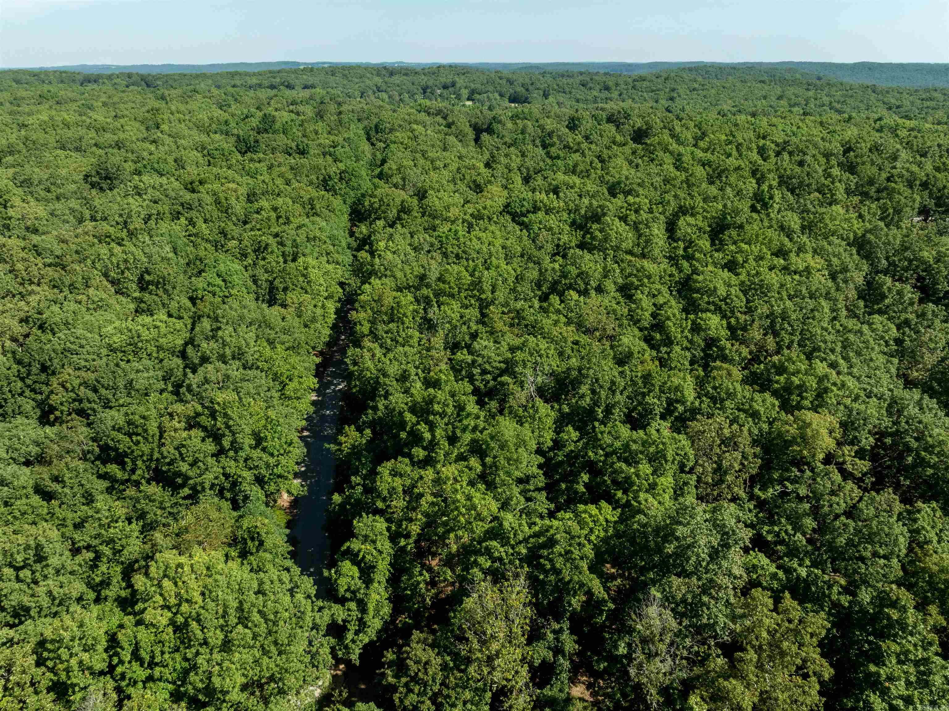 306 N Rainey Lane Cave City, AR 72521