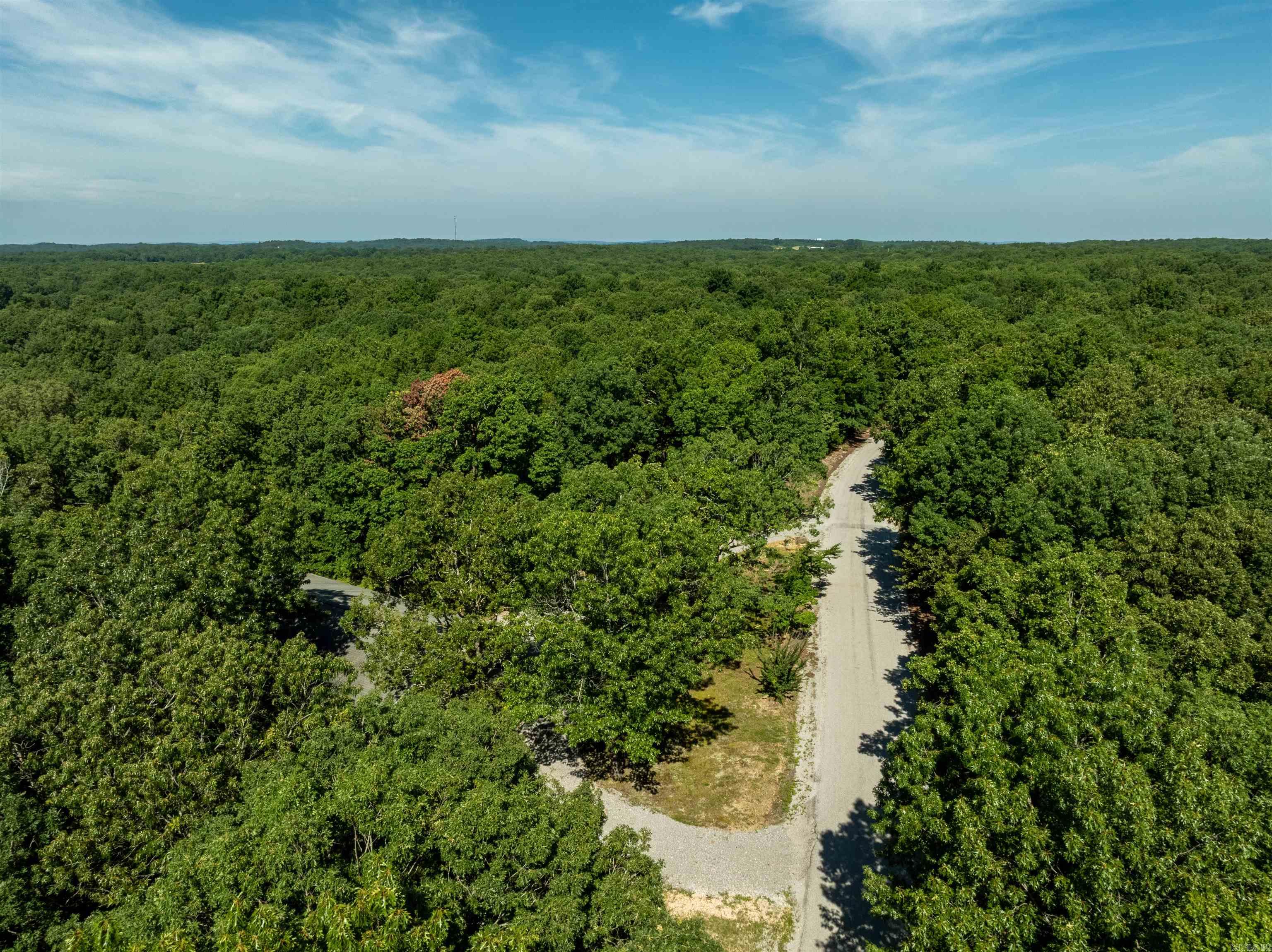 306 N Rainey Lane Cave City, AR 72521