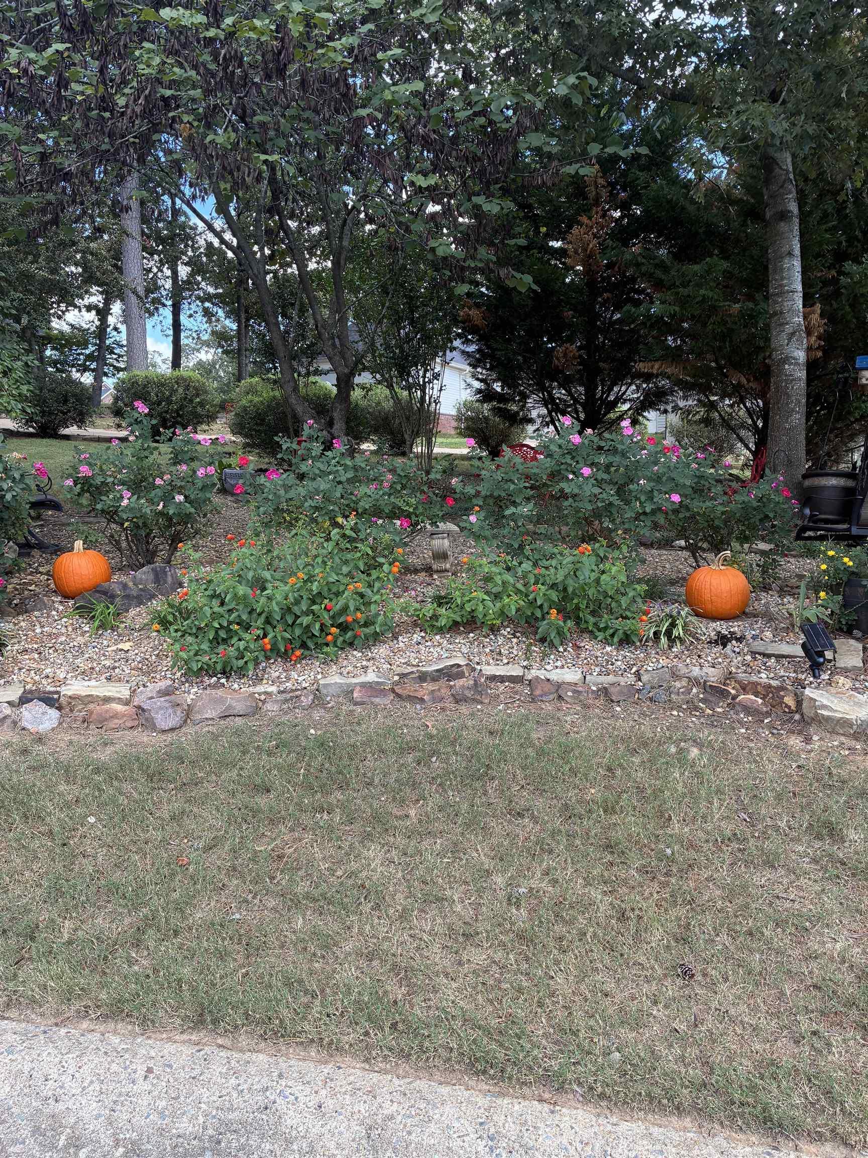 78 Garden Oaks Drive Maumelle, AR 72113