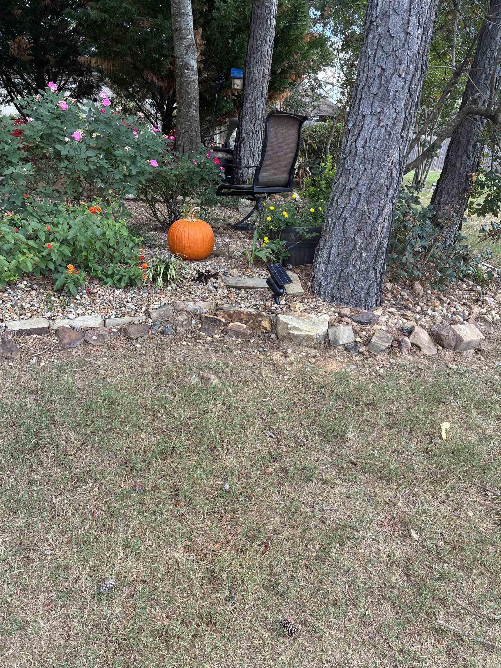 78 Garden Oaks Drive Maumelle, AR 72113