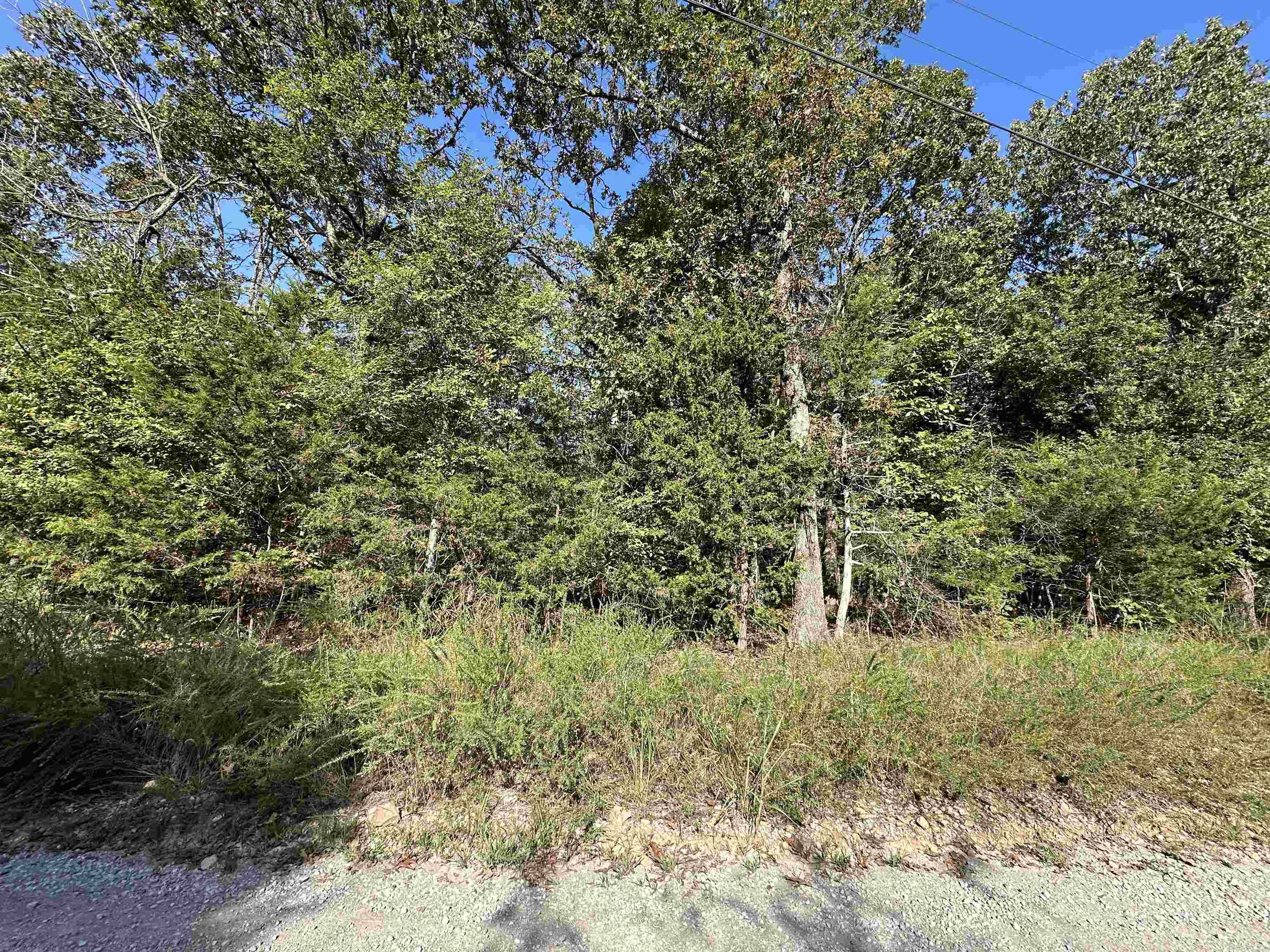 Lots 1 & 2 Round Mountain Drive  Flippin, AR