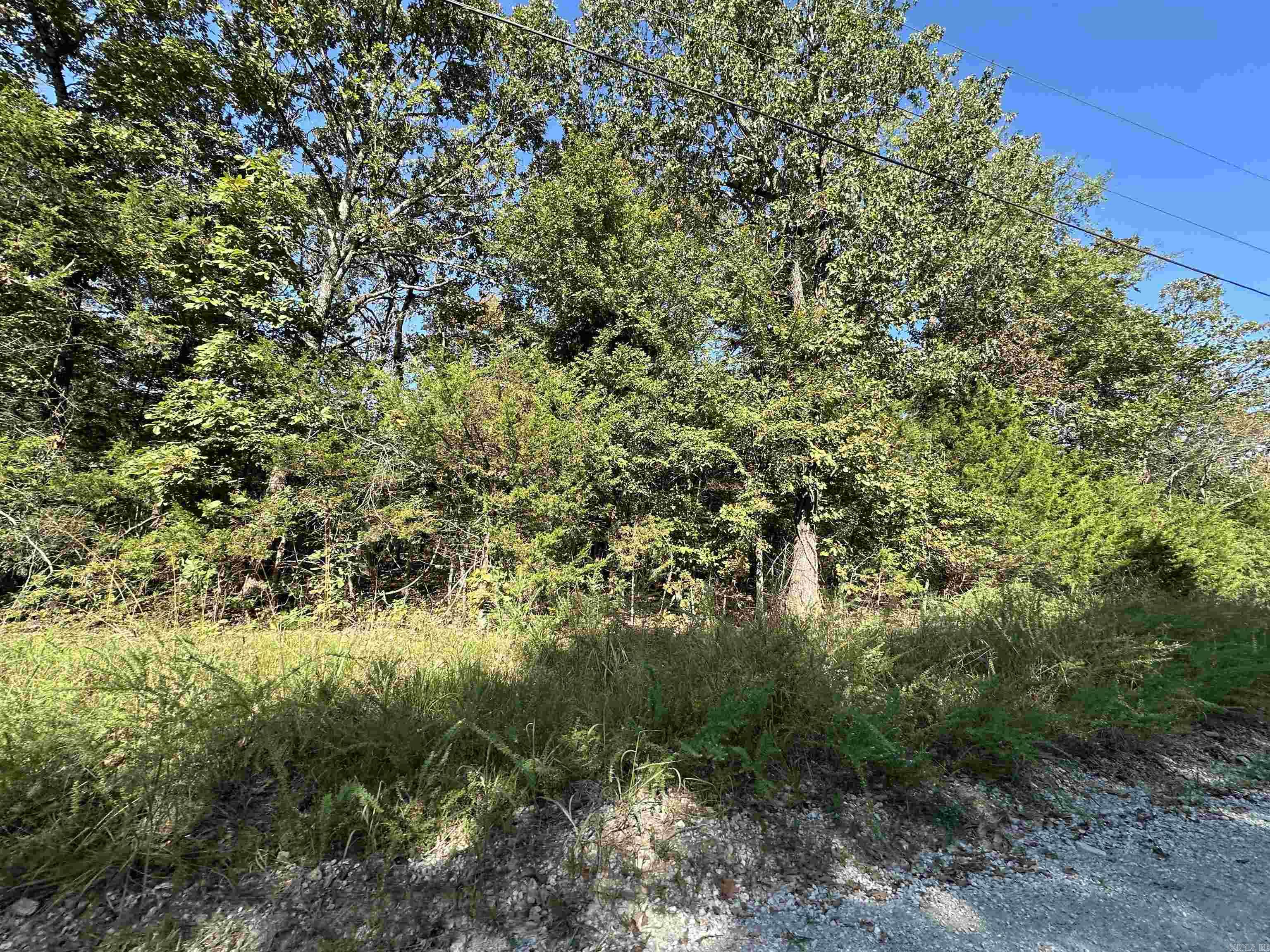 Lots 1 & 2 Round Mountain Drive  Flippin, AR