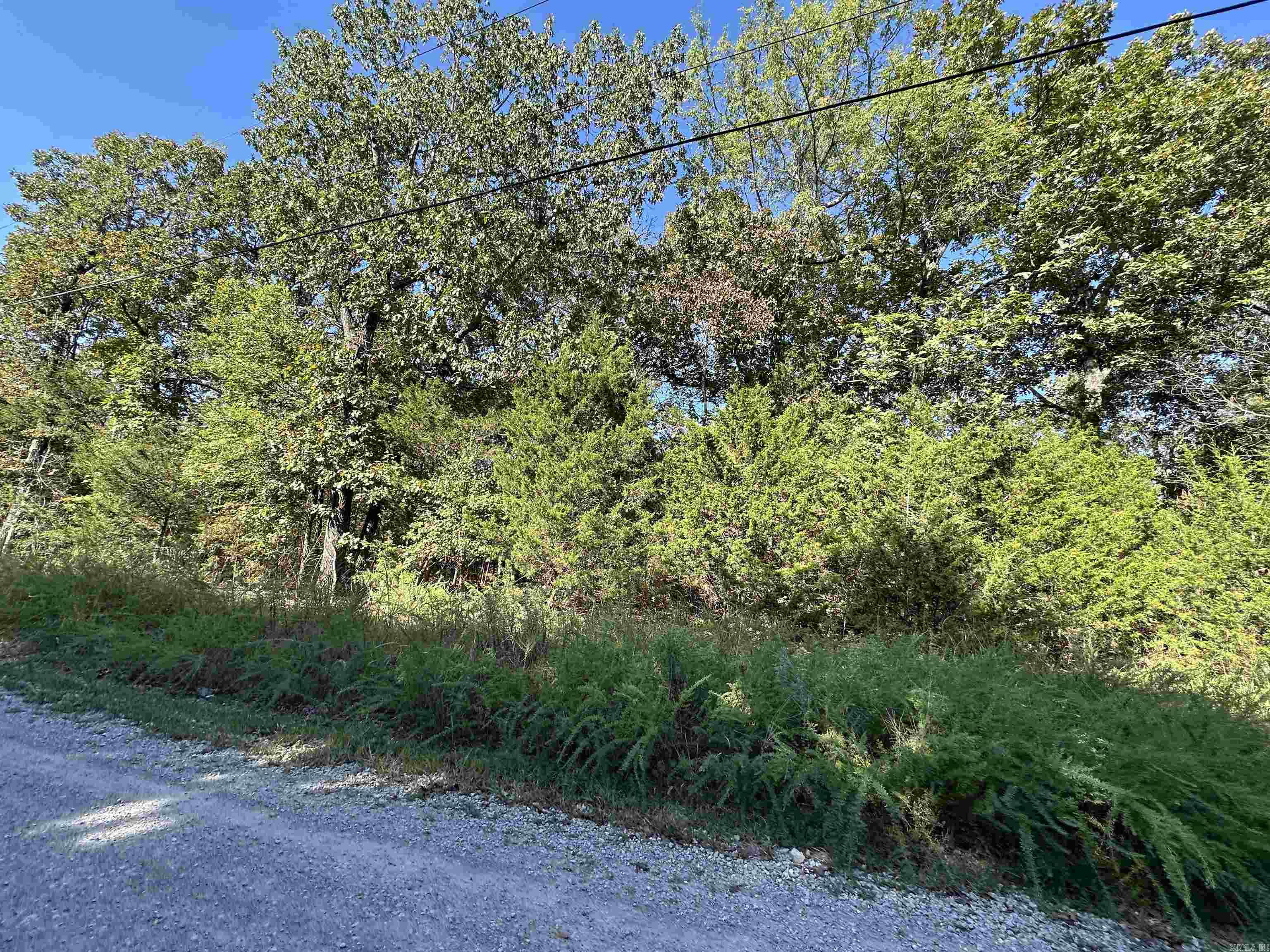 Lots 1 & 2 Round Mountain Drive  Flippin, AR