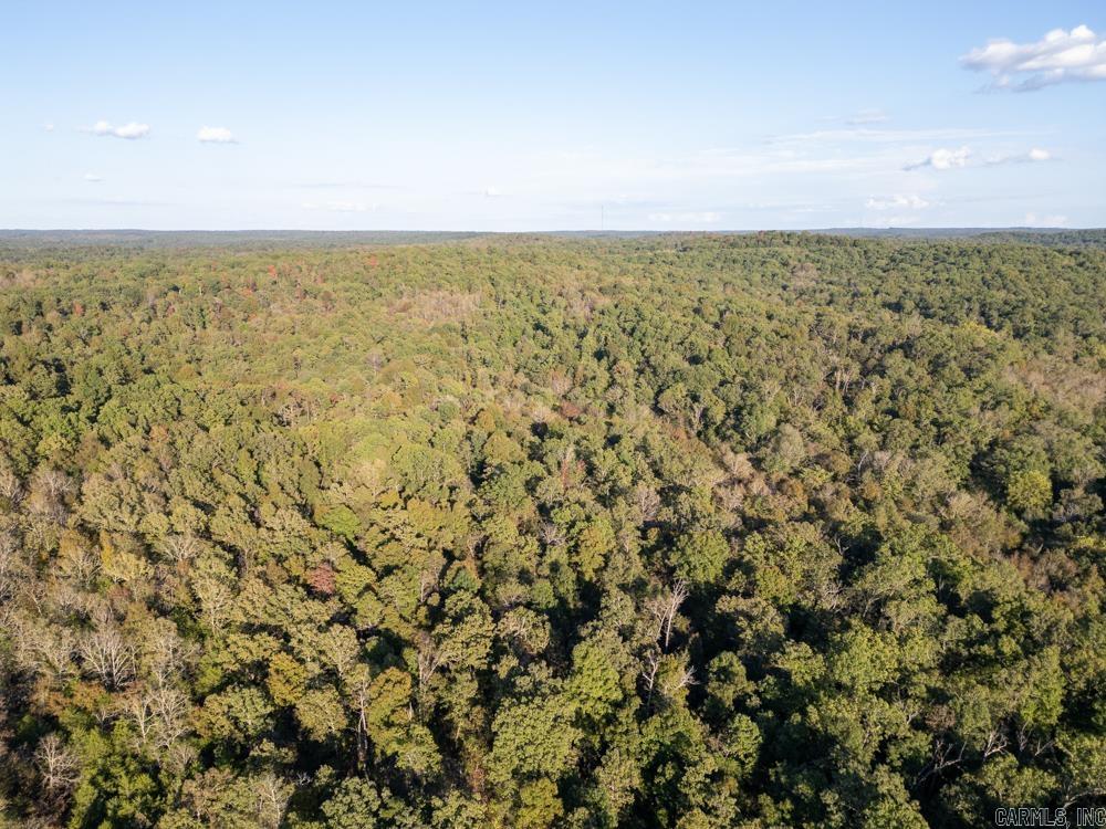 0000 Needle's Eye Trail  Mammoth Spring, AR