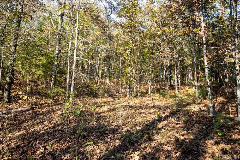 0000 Needle's Eye Trail  Mammoth Spring, AR