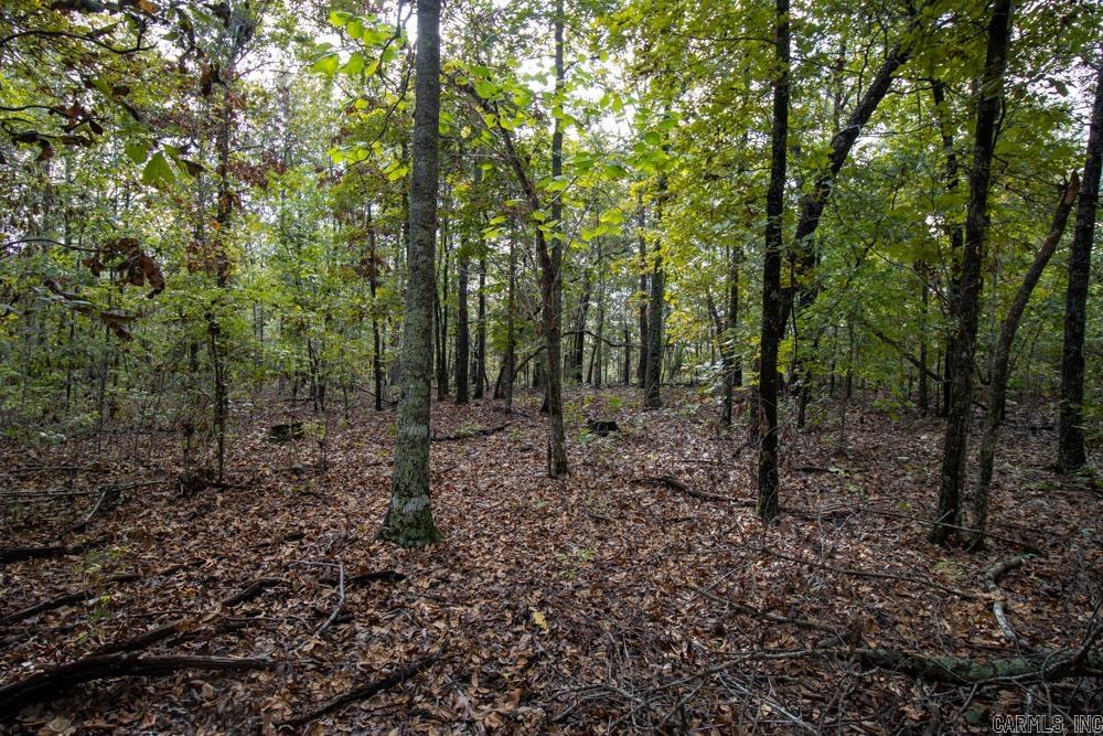 0000 Needle's Eye Trail  Mammoth Spring, AR