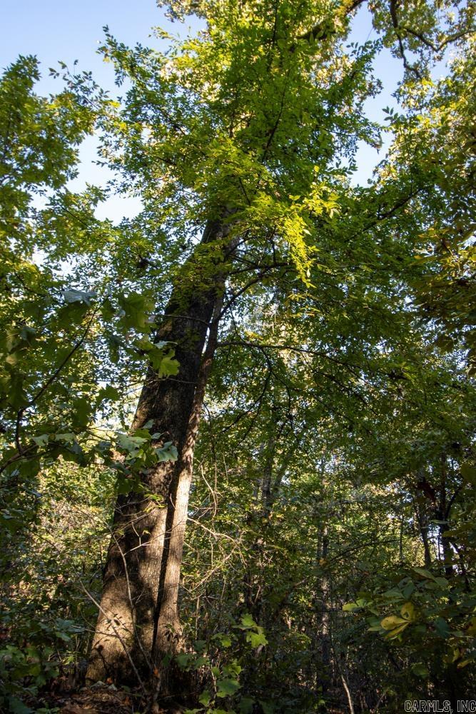 0000 Needle's Eye Trail  Mammoth Spring, AR
