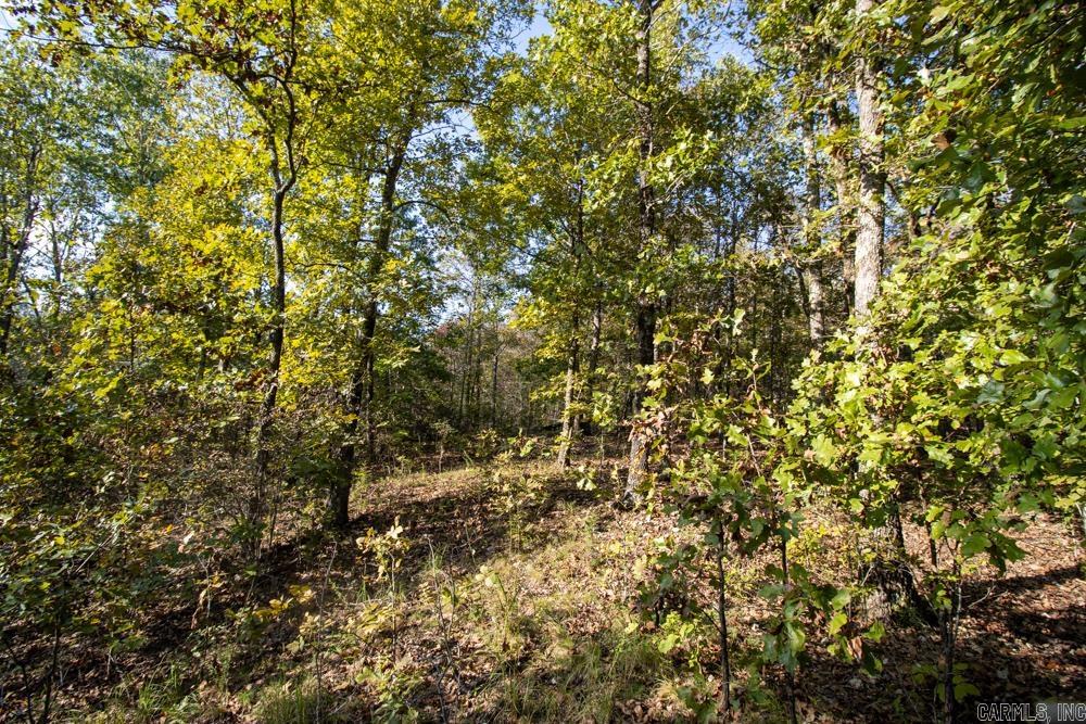 0000 Needle's Eye Trail  Mammoth Spring, AR