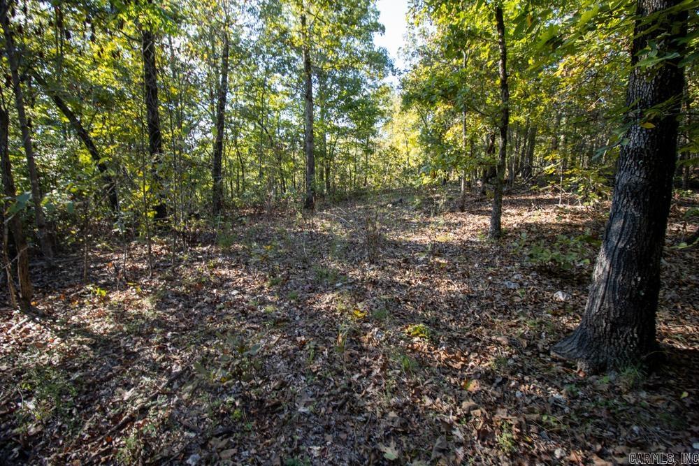 0000 Needle's Eye Trail  Mammoth Spring, AR