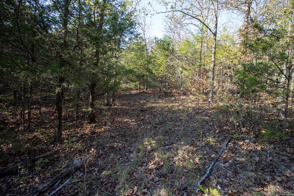 0000 Needle's Eye Trail  Mammoth Spring, AR