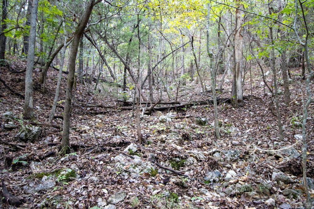 0000 Needle's Eye Trail  Mammoth Spring, AR