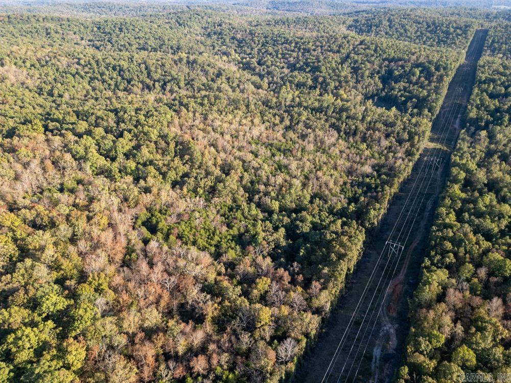 0000 Needle's Eye Trail  Mammoth Spring, AR