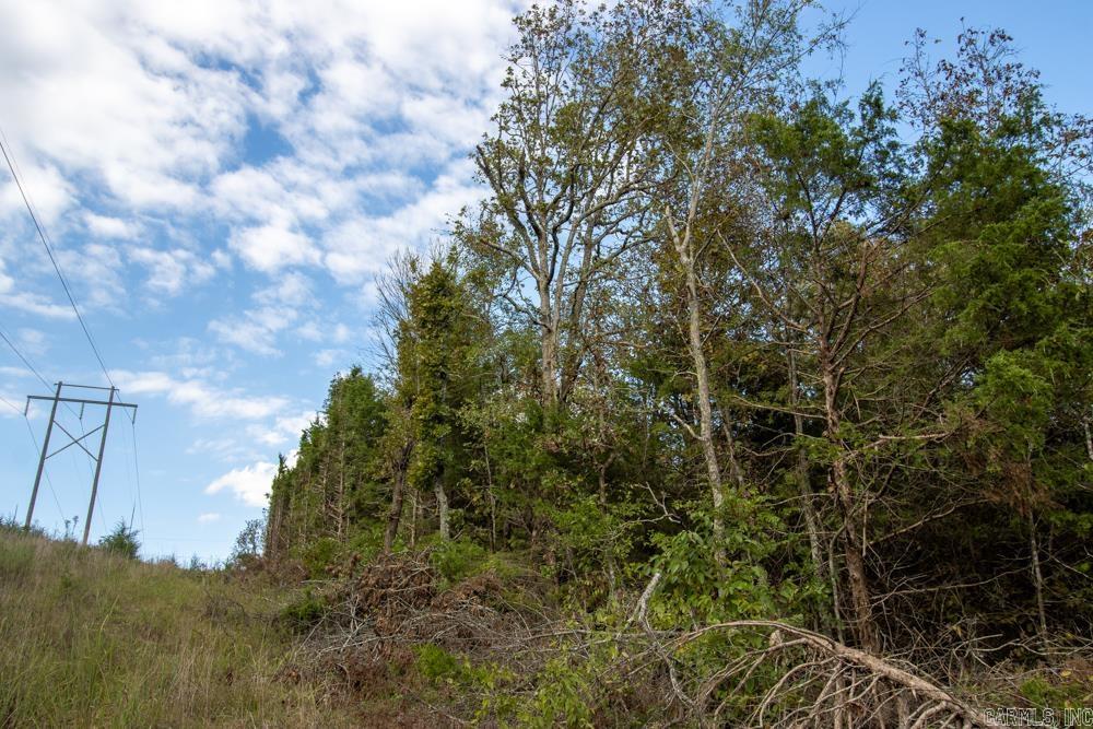 0000 Needle's Eye Trail  Mammoth Spring, AR