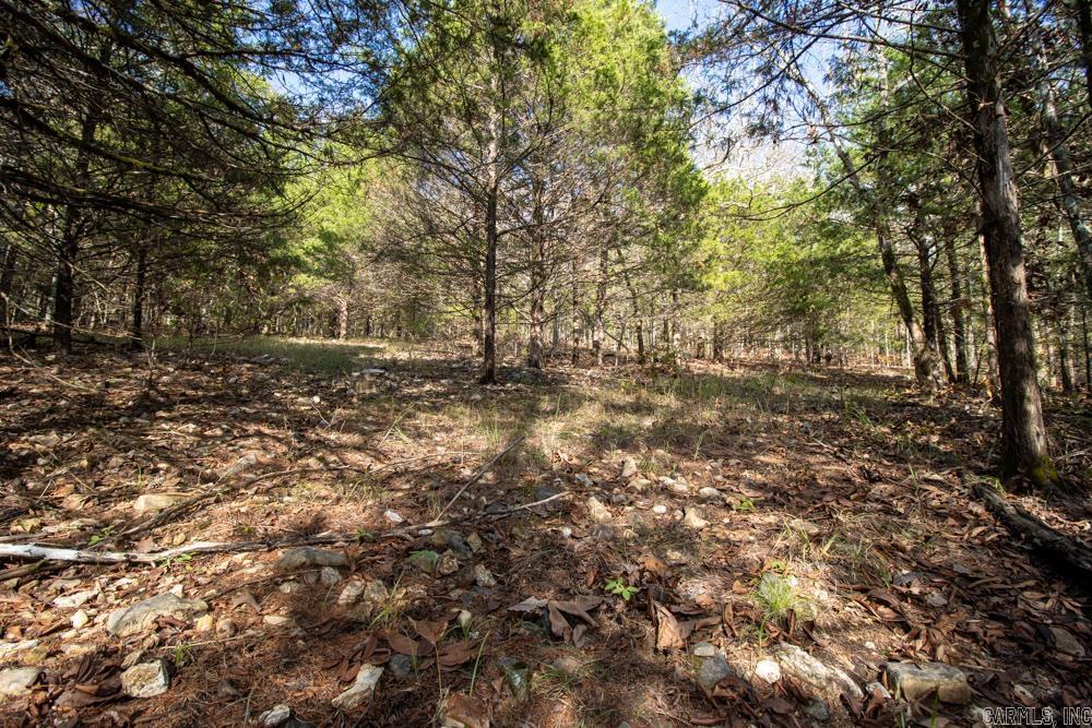 0000 Needle's Eye Trail  Mammoth Spring, AR