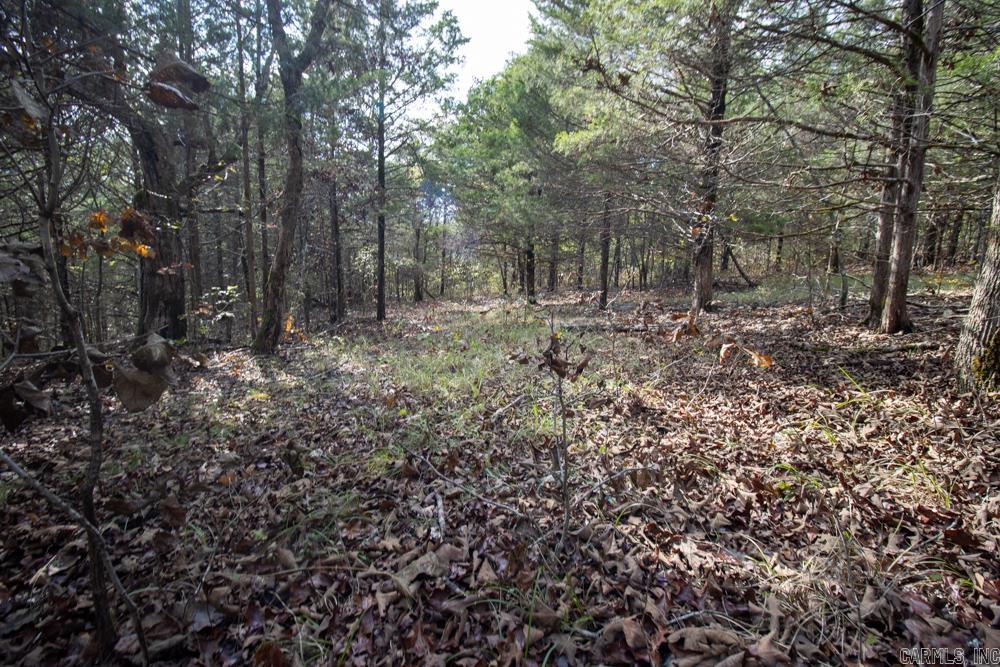 0000 Needle's Eye Trail  Mammoth Spring, AR