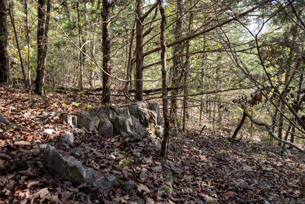 0000 Needle's Eye Trail  Mammoth Spring, AR