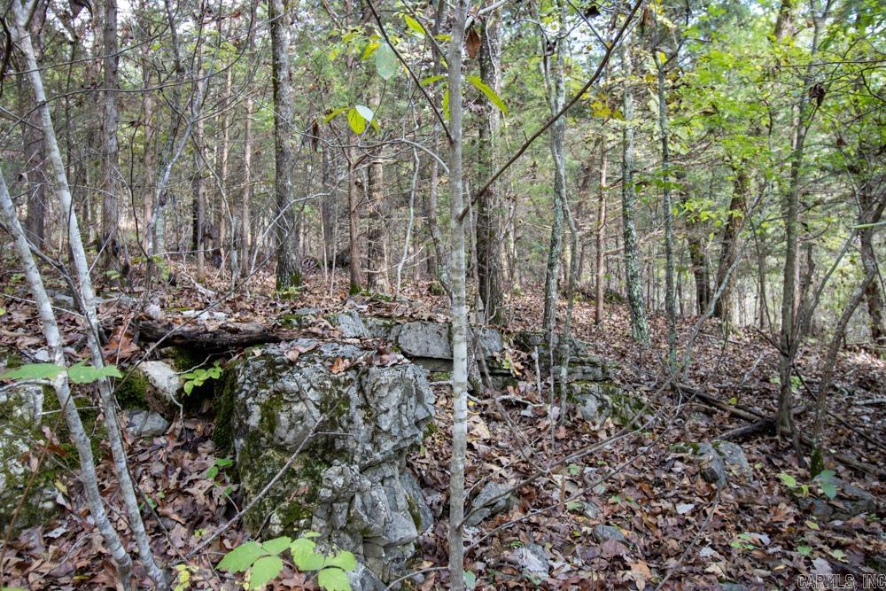 0000 Needle's Eye Trail  Mammoth Spring, AR