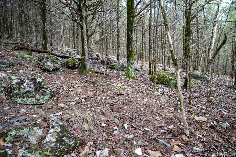 0000 Needle's Eye Trail  Mammoth Spring, AR