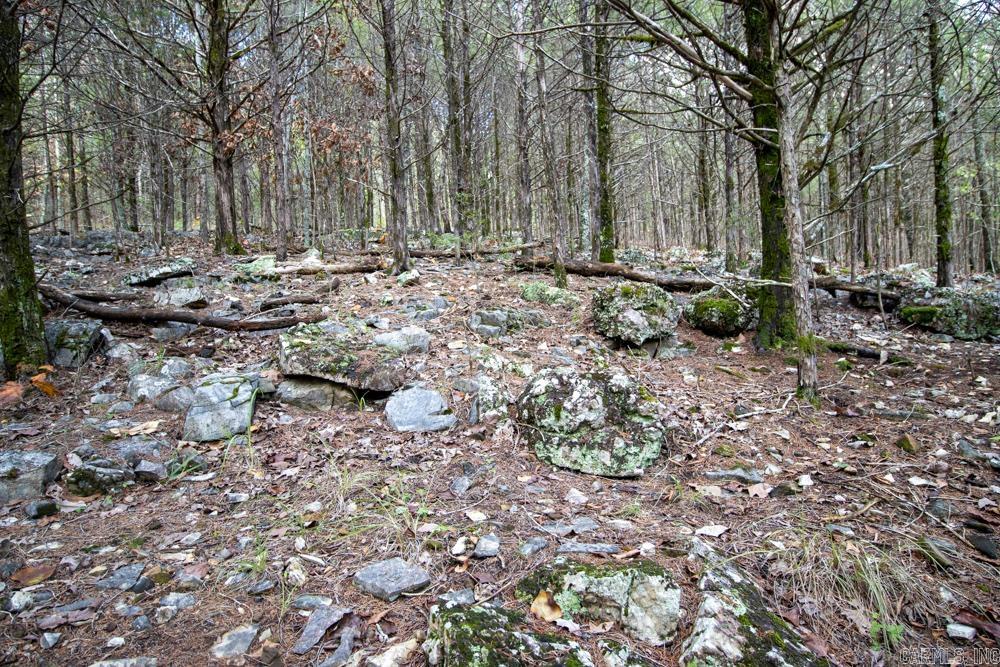 0000 Needle's Eye Trail  Mammoth Spring, AR