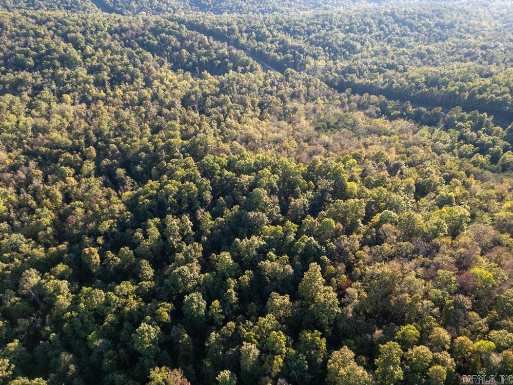 0000 Needle's Eye Trail  Mammoth Spring, AR