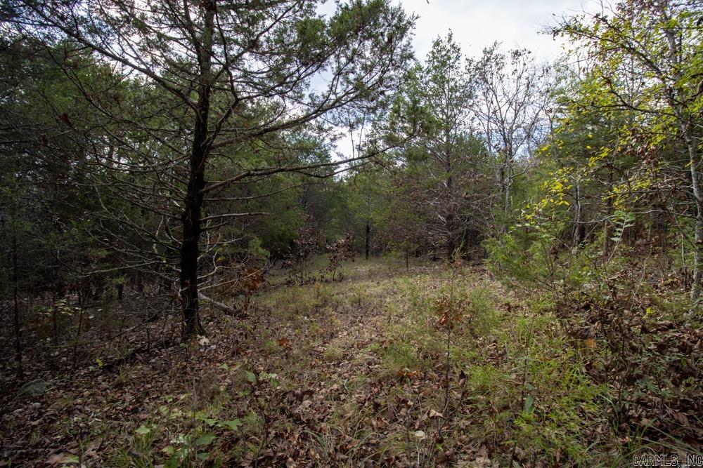 0000 Needle's Eye Trail  Mammoth Spring, AR