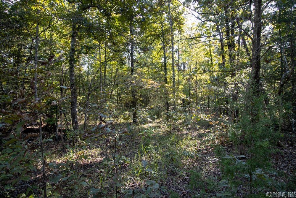 0000 Needle's Eye Trail  Mammoth Spring, AR