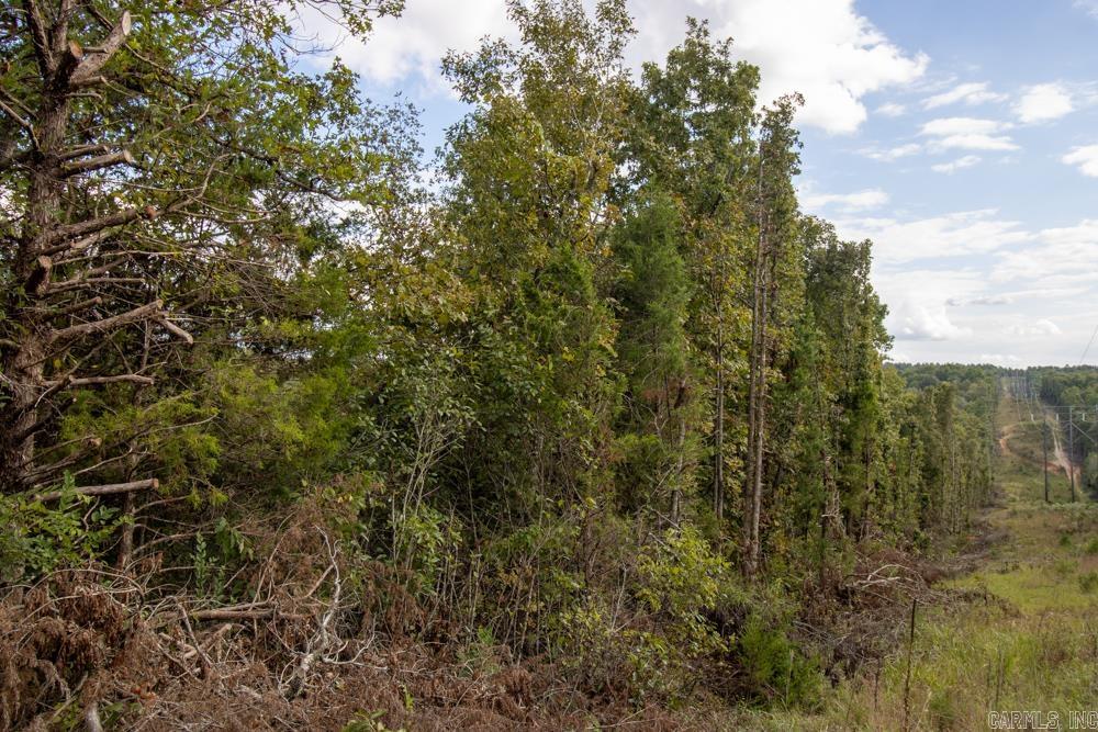 0000 Needle's Eye Trail  Mammoth Spring, AR