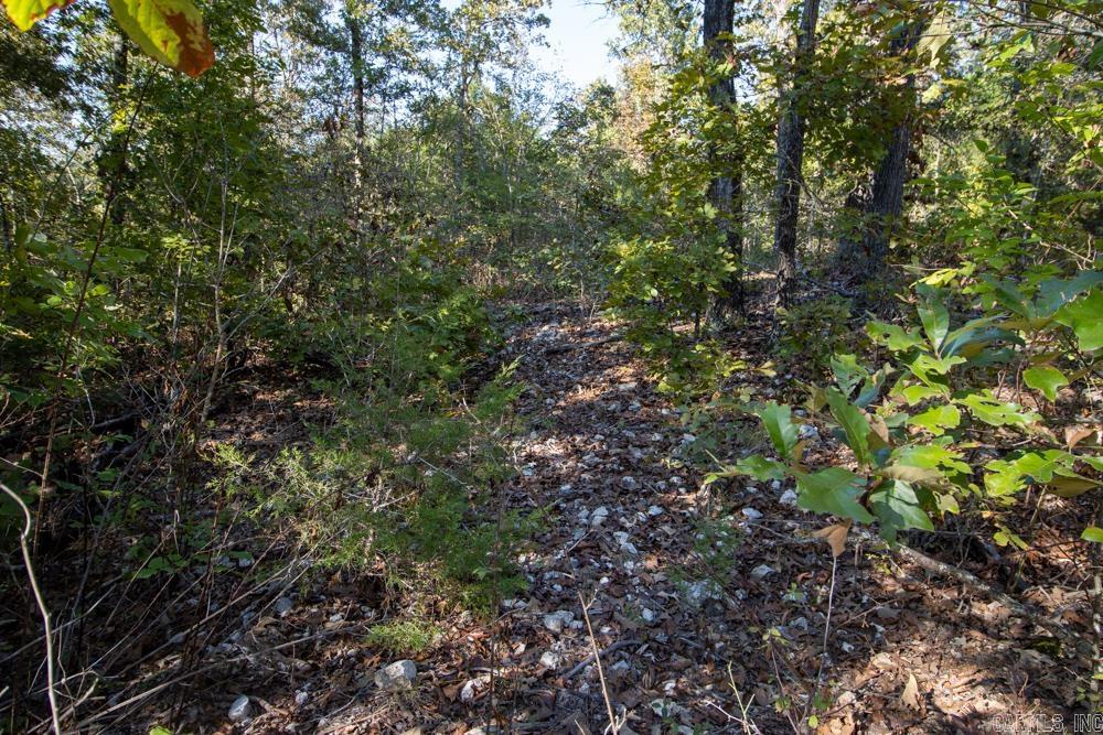 0000 Needle's Eye Trail  Mammoth Spring, AR