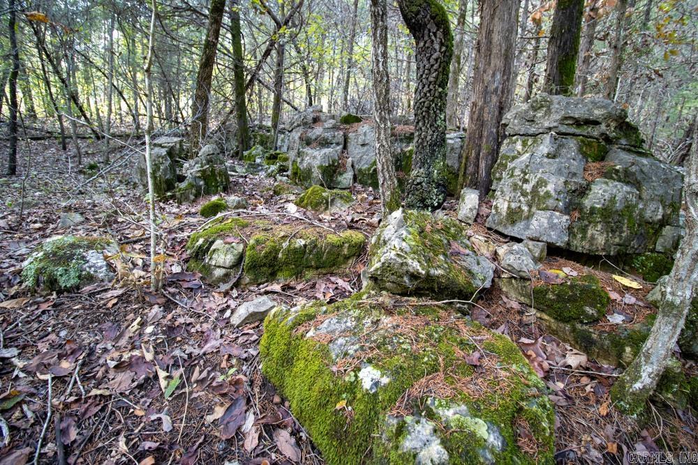0000 Needle's Eye Trail  Mammoth Spring, AR