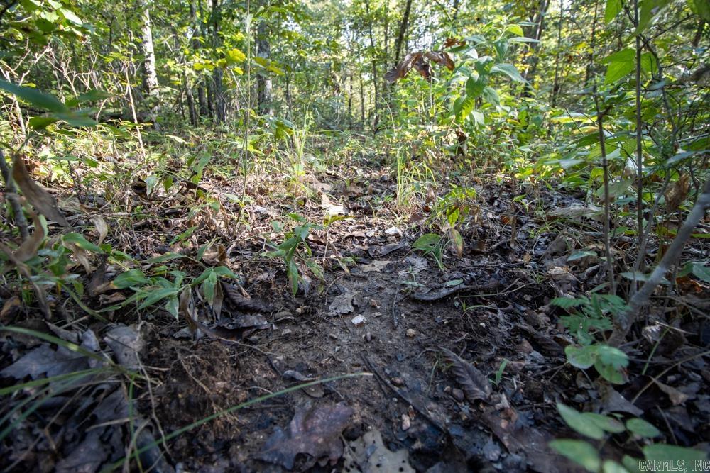 0000 Needle's Eye Trail  Mammoth Spring, AR