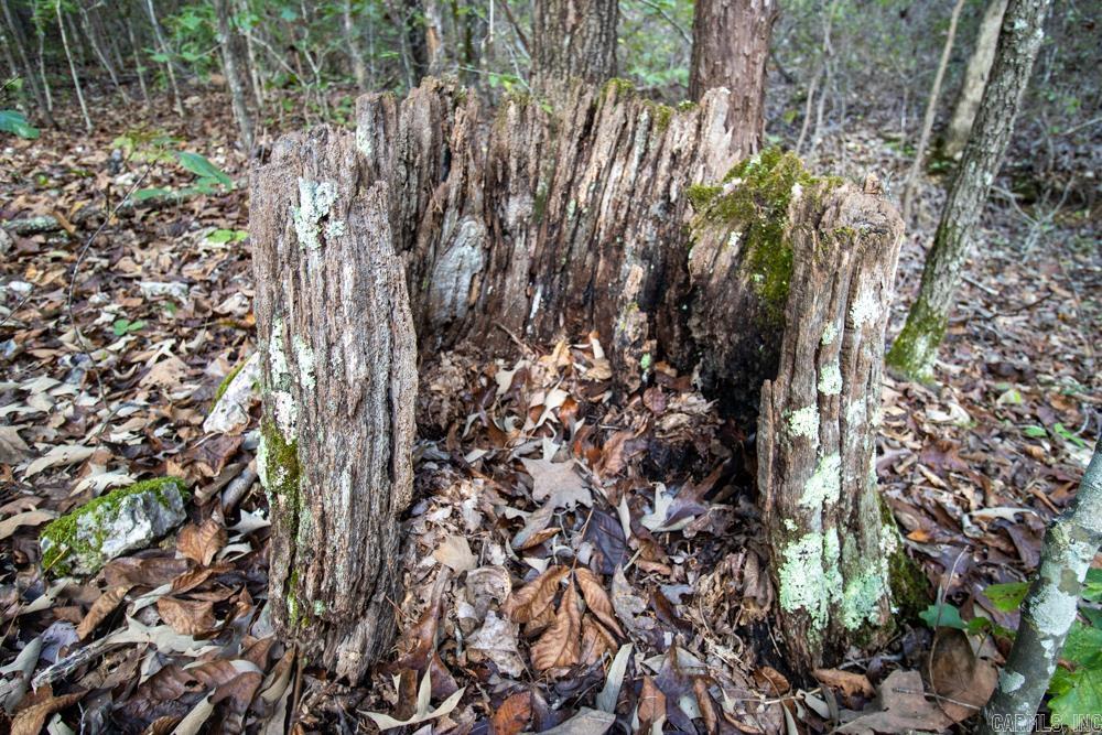 0000 Needle's Eye Trail  Mammoth Spring, AR