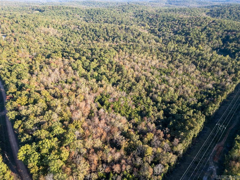 0000 Needle's Eye Trail  Mammoth Spring, AR