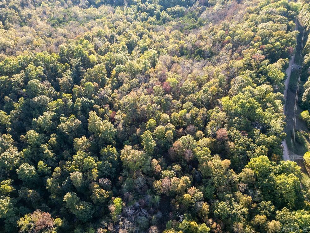 0000 Needle's Eye Trail  Mammoth Spring, AR