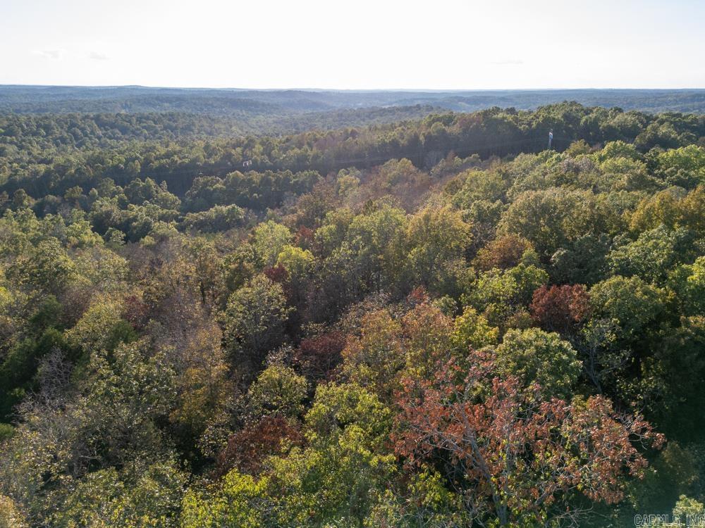 0000 Needle's Eye Trail  Mammoth Spring, AR