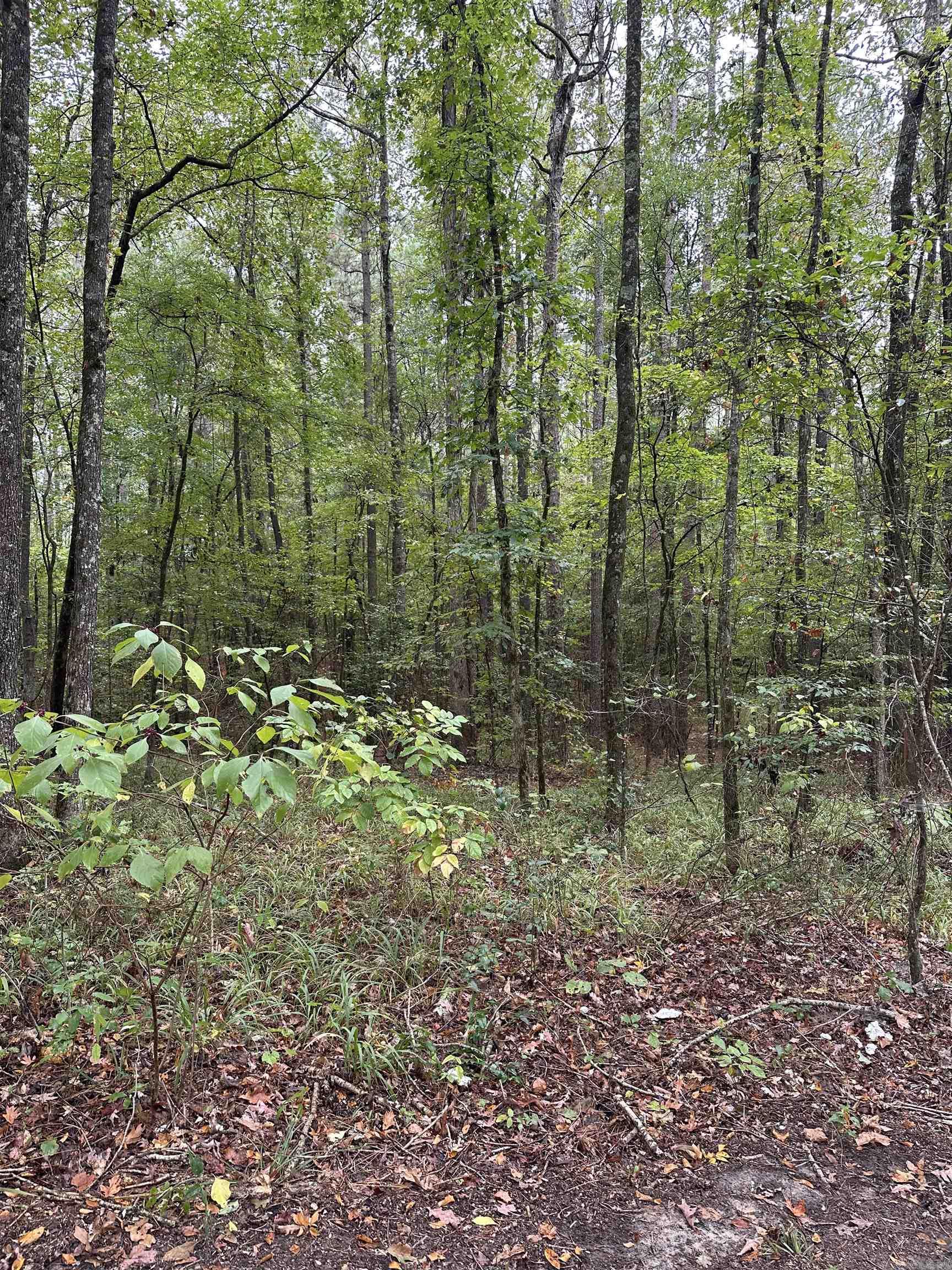 12607 Hwy 35  Benton, AR