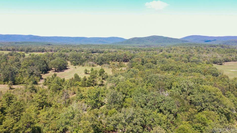 684 Old Waters  Oden, AR