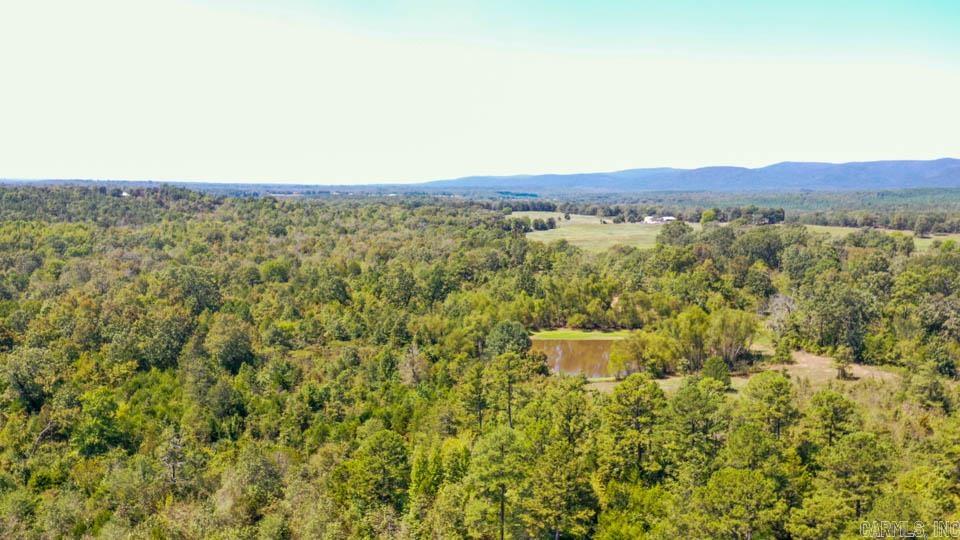 684 Old Waters  Oden, AR