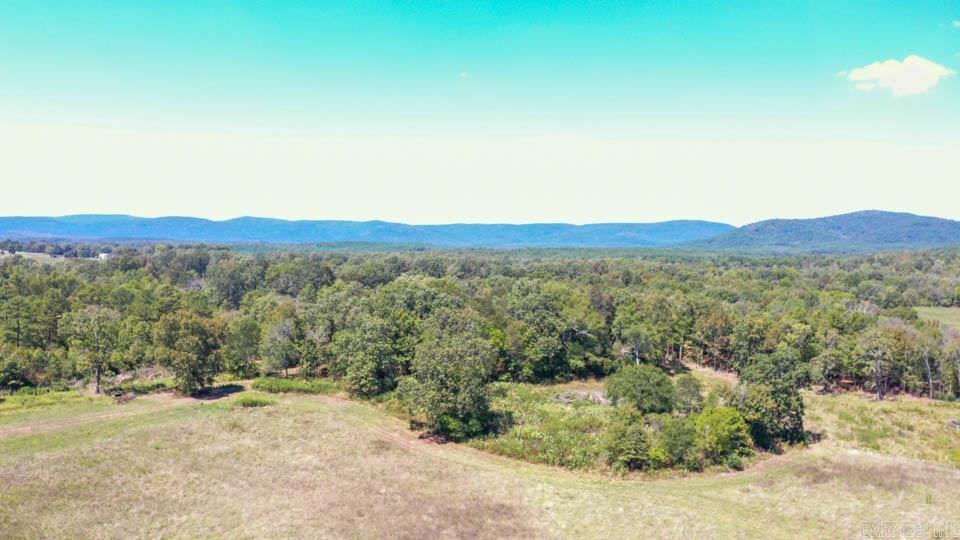 684 Old Waters  Oden, AR