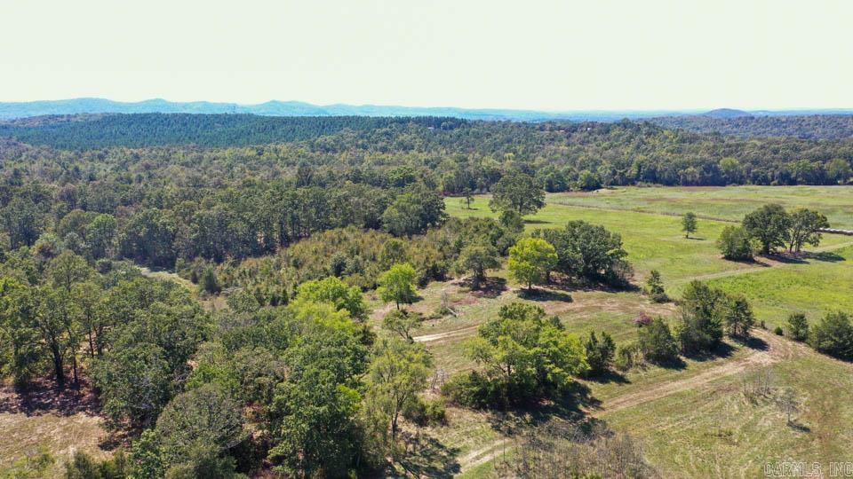 684 Old Waters  Oden, AR