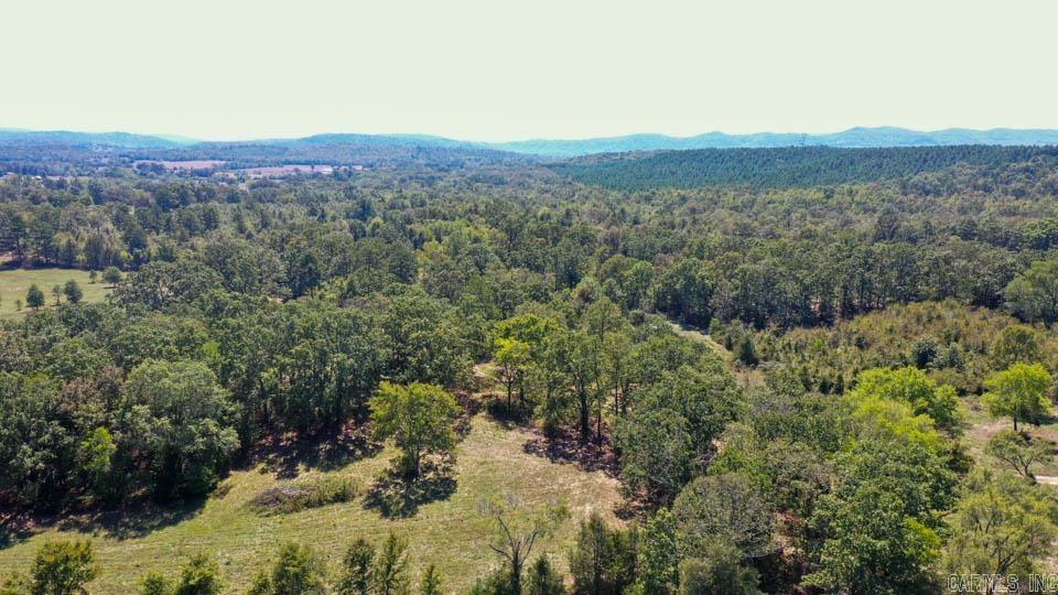 684 Old Waters  Oden, AR