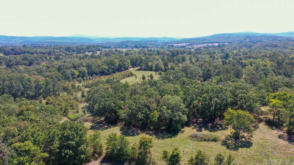 684 Old Waters  Oden, AR