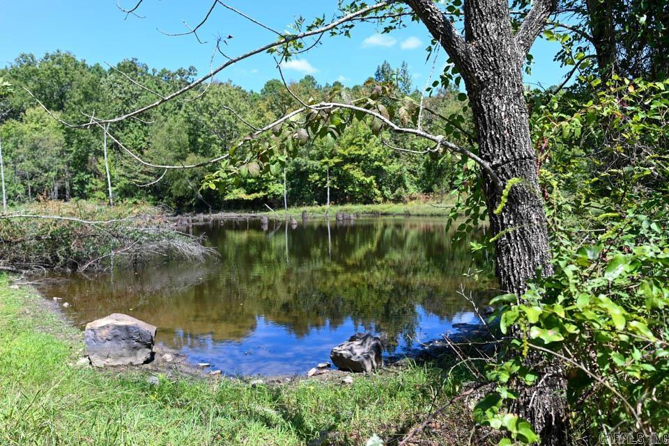 684 Old Waters  Oden, AR