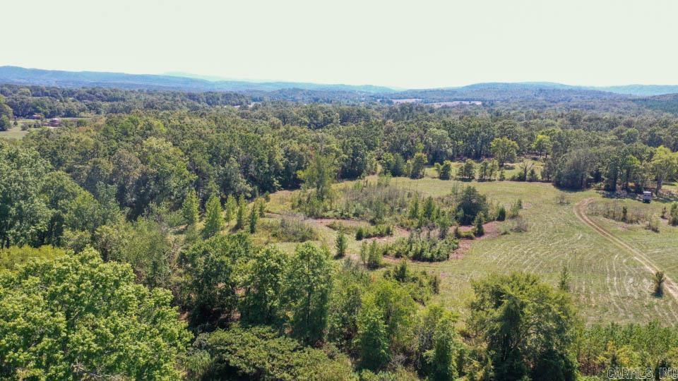 684 Old Waters  Oden, AR