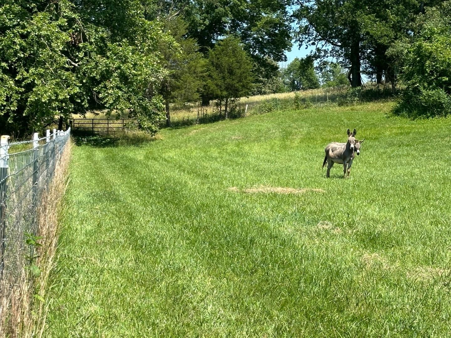 351 Township  Pocahontas, AR